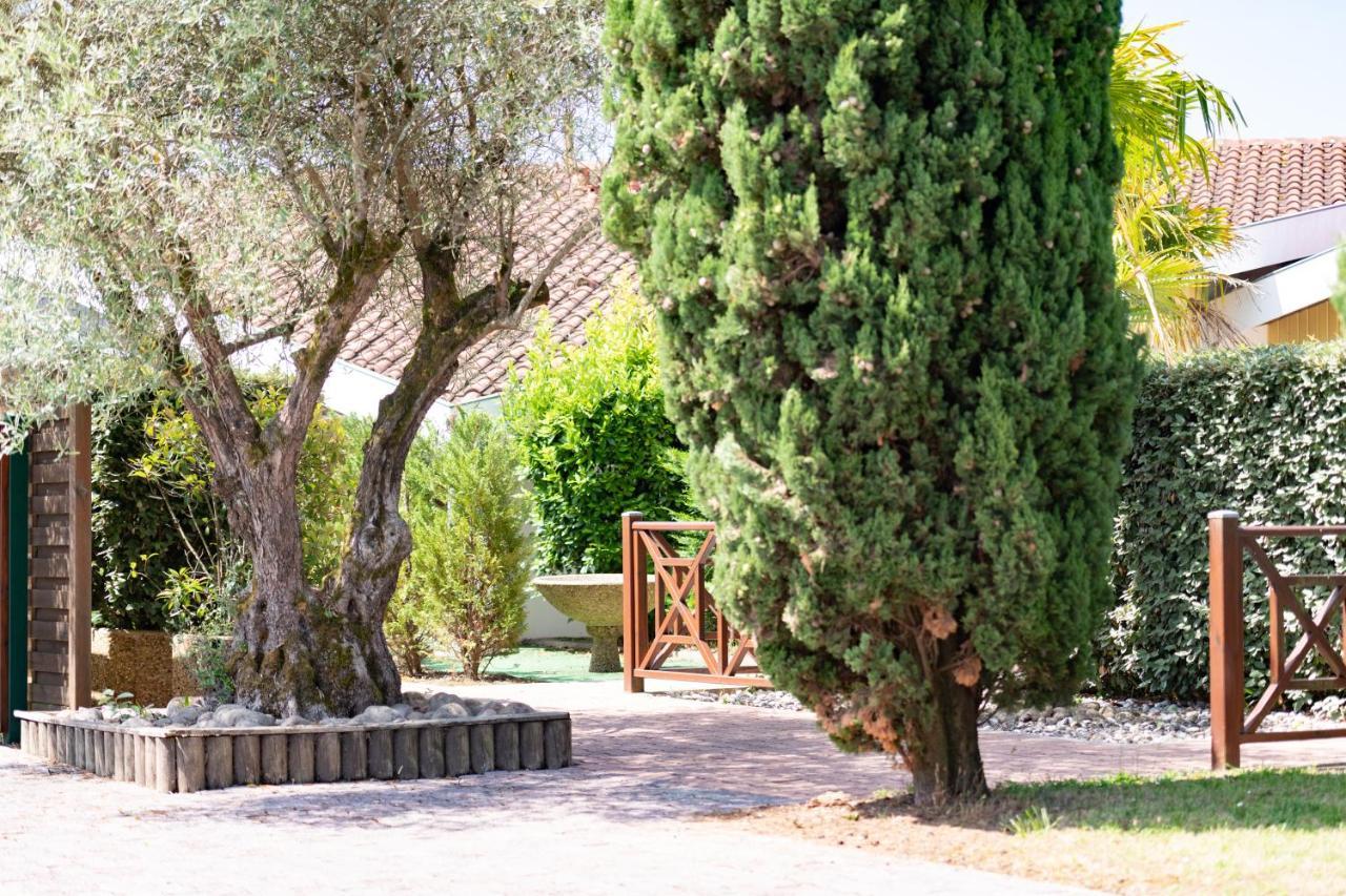 Résidence Amaréna Appartement